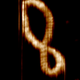 Atomic force microscopy image of a DNA minicircle.